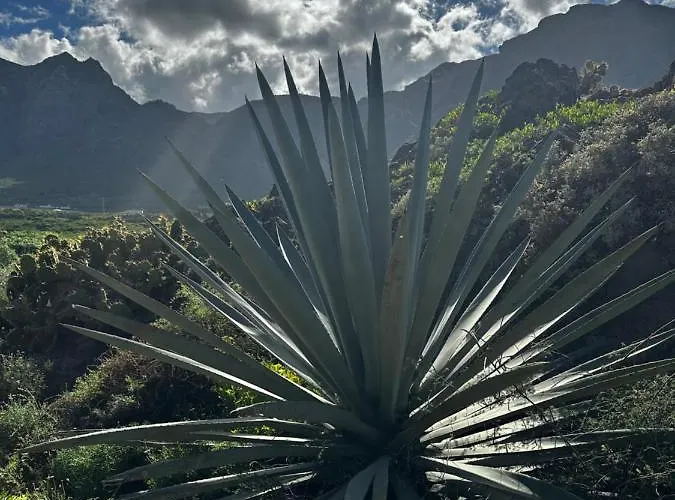 Aventura En * Buenavista Del Norte